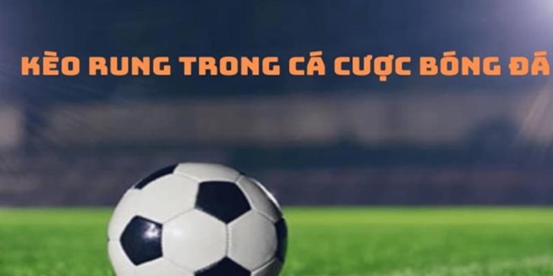 Chiến thuật cược rung nâng cao tỷ lệ thắng