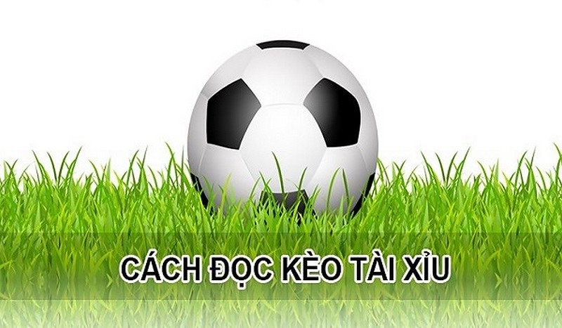 Cách đọc kèo tài xỉu hiệu quả 